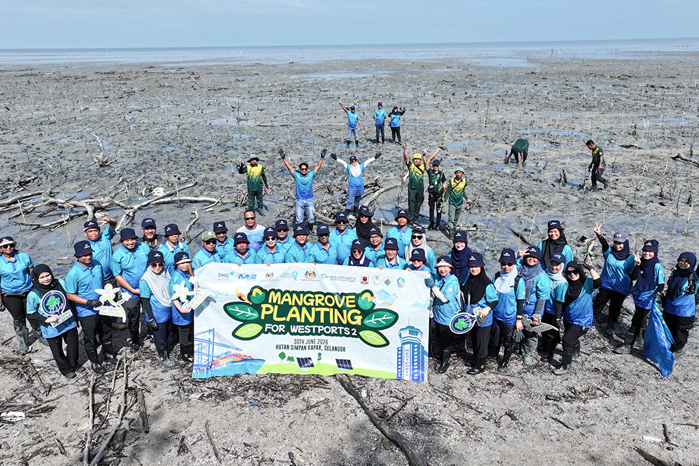 Mangrove Planting 2026